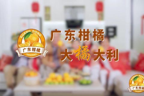 廣東柑橘衛(wèi)視廣告投放案例